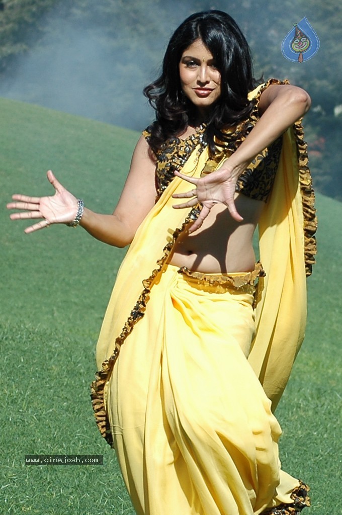 Sheryl Pinto Hot Stills - 9 / 63 photos