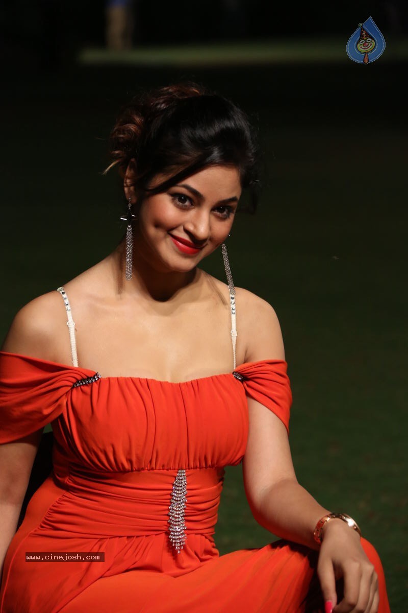 Shilpi Sharma Hot Photos - 24 / 102 photos