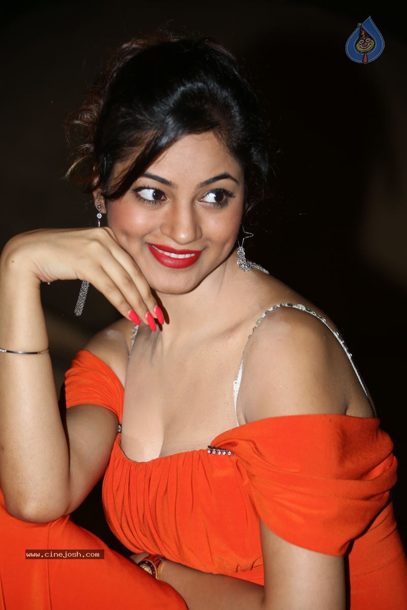 Shilpi Sharma Hot Photos - 33 / 102 photos
