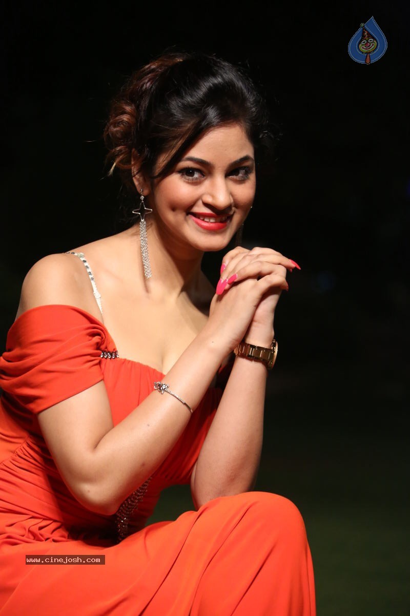 Shilpi Sharma Hot Photos - 52 / 102 photos