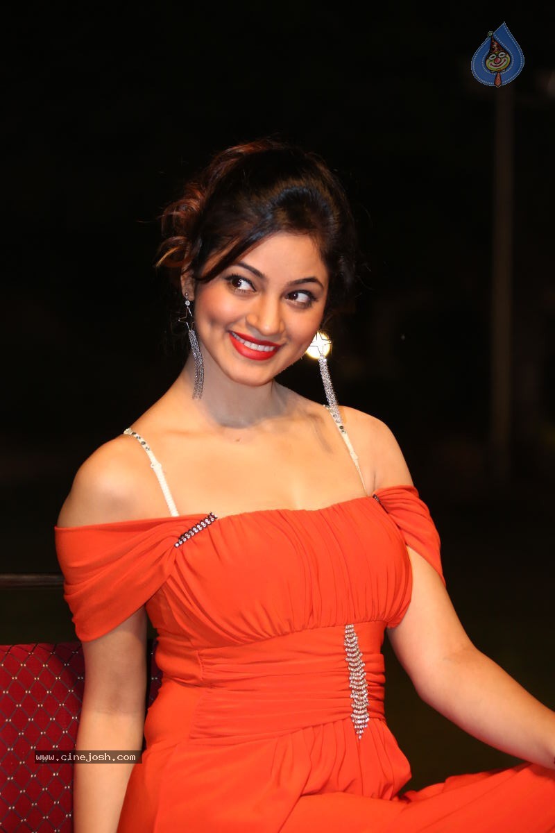 Shilpi Sharma Hot Photos - 101 / 102 photos