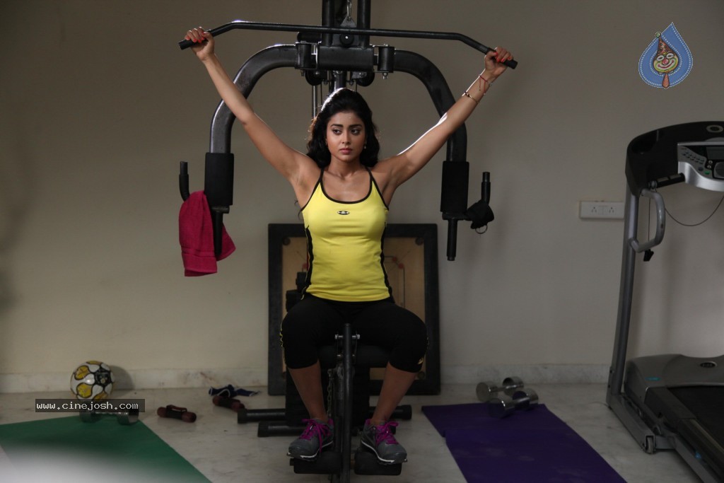 Shriya Hot Photos - 43 / 64 photos