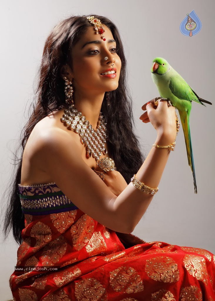 Shriya Saran New Hot Photos - 3 / 7 photos