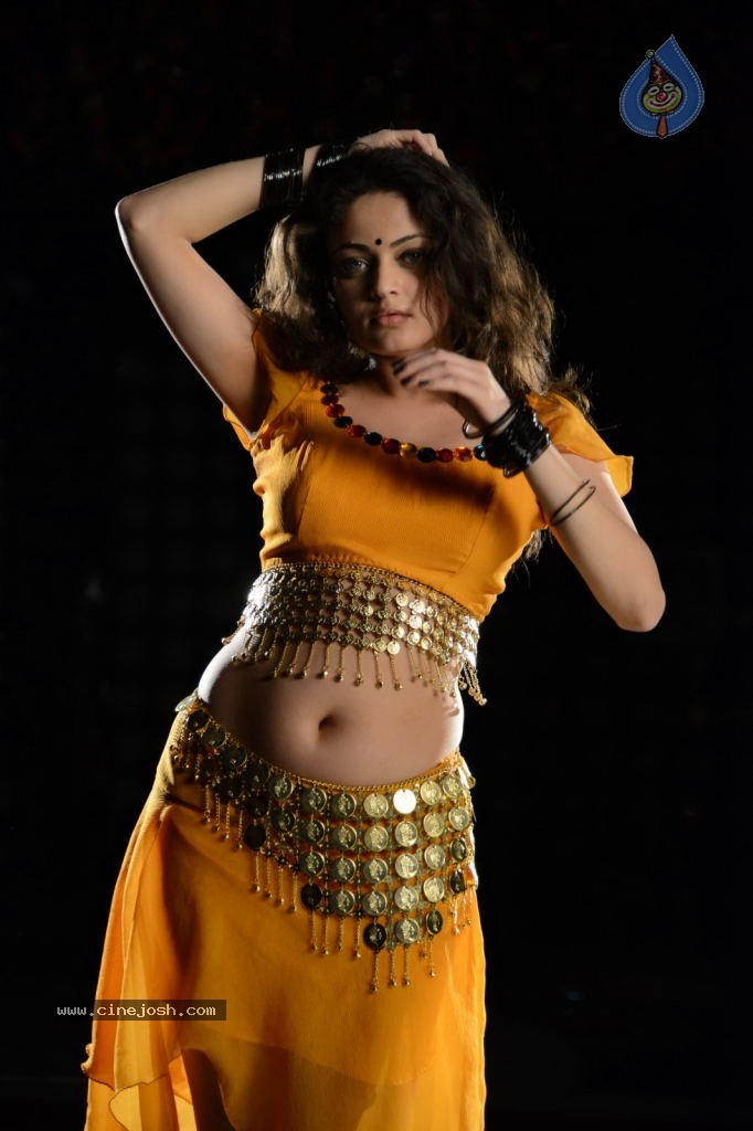 Sneha Ullal Hot Photos - 17 / 50 photos