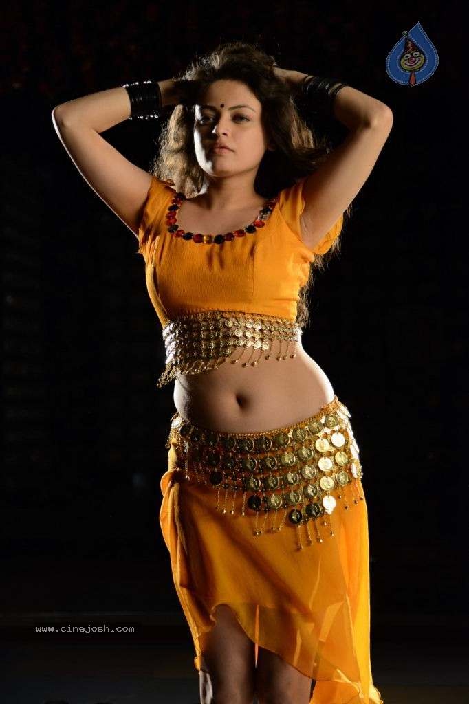 Sneha Ullal Hot Photos - 19 / 50 photos