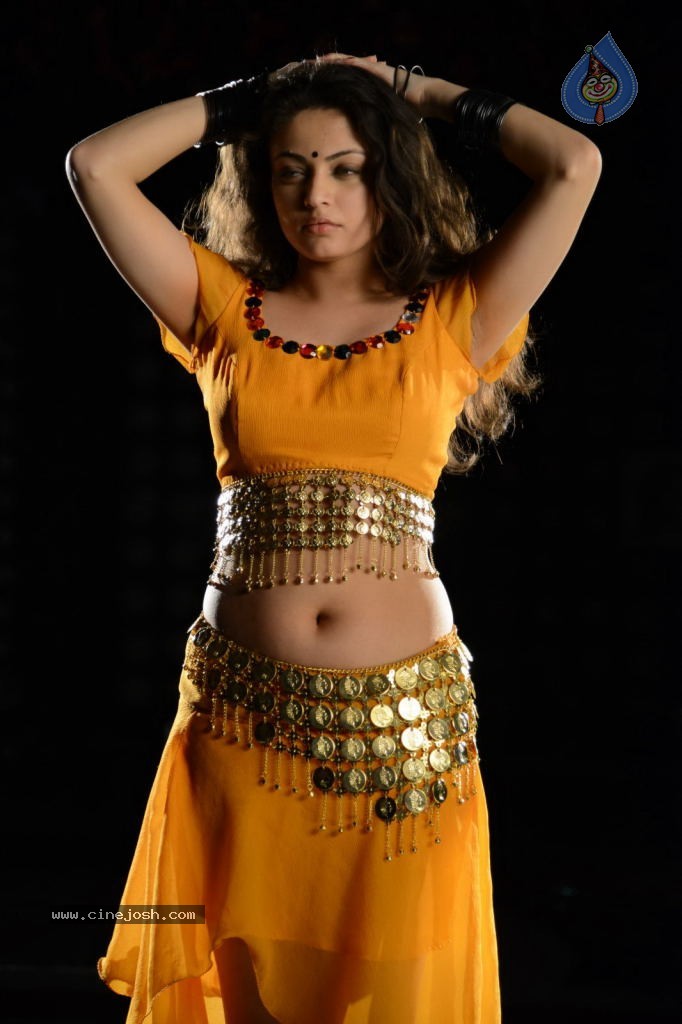 Sneha Ullal Hot Photos - 26 / 50 photos