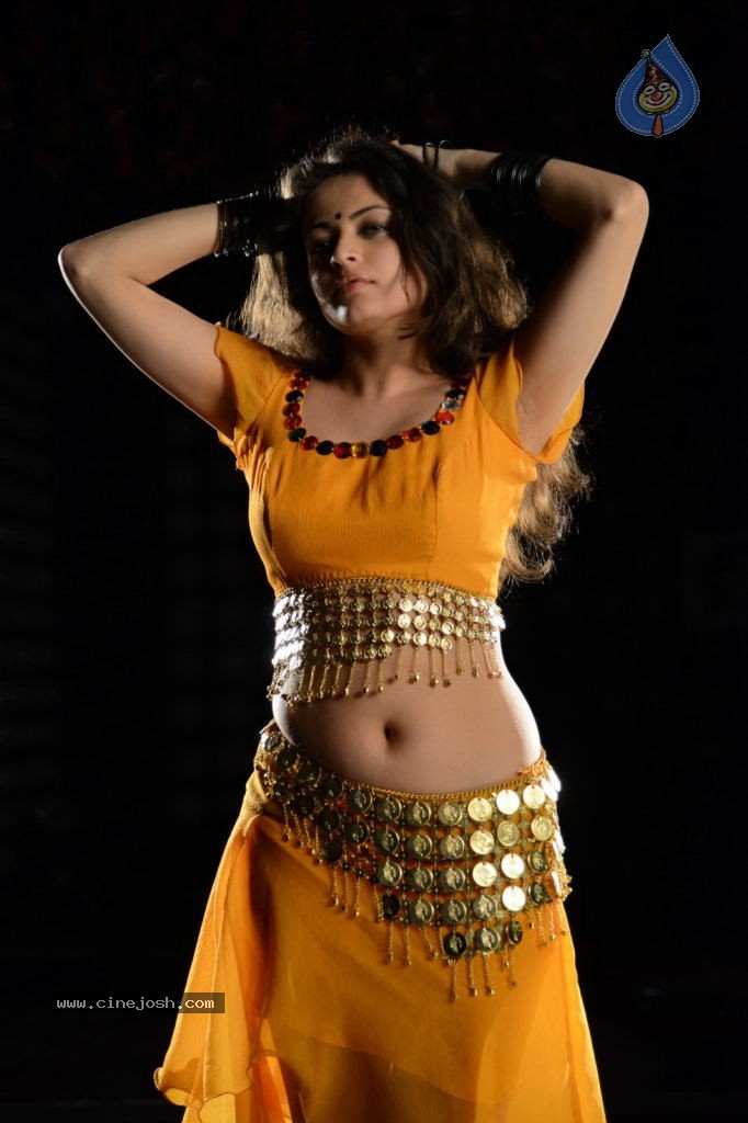 Sneha Ullal Hot Photos - 34 / 50 photos