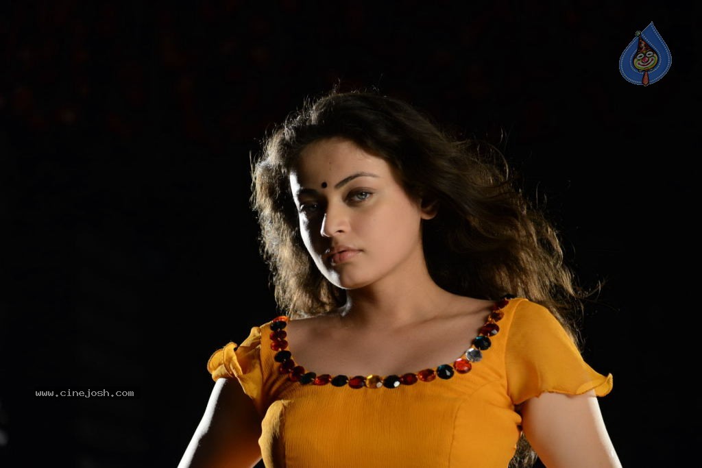 Sneha Ullal Hot Photos - 43 / 50 photos