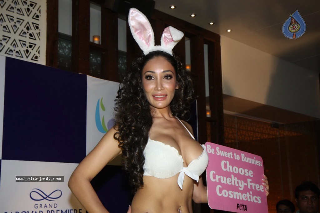 Sofia Hayat Special Photo Shoot - 17 / 59 photos