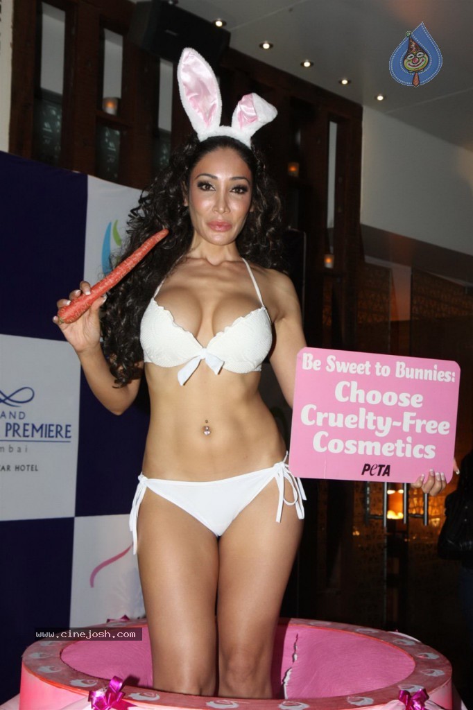 Sofia Hayat Special Photo Shoot - 20 / 59 photos
