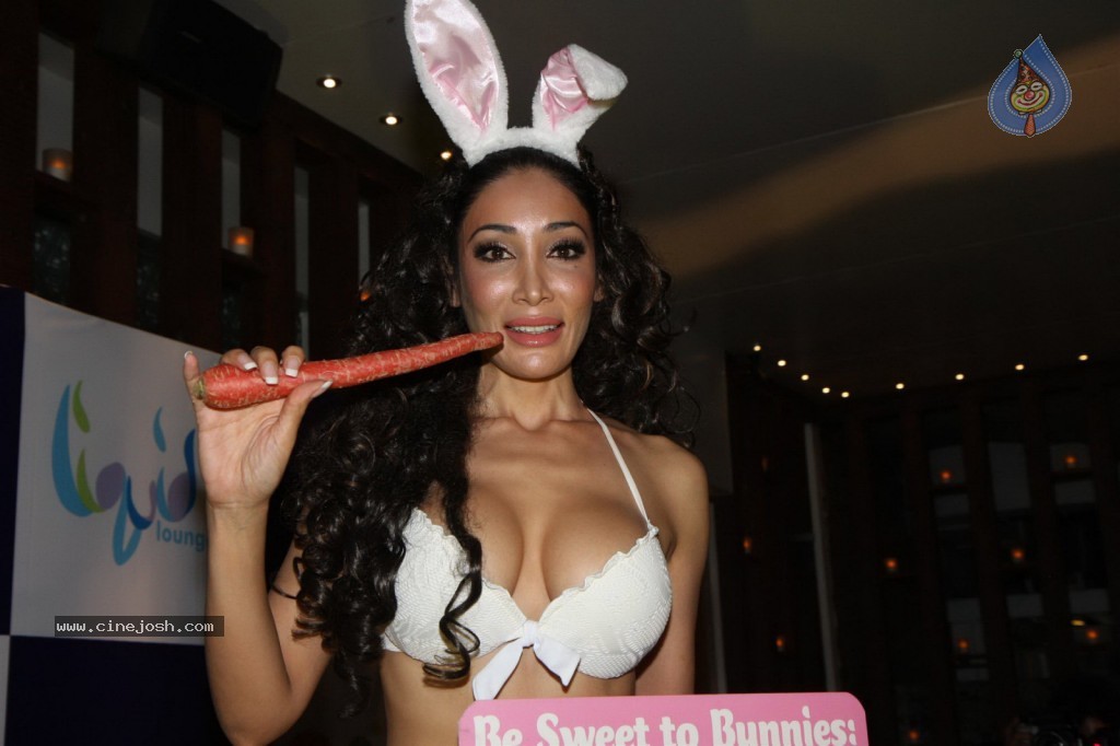 Sofia Hayat Special Photo Shoot - 22 / 59 photos