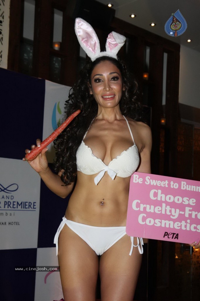 Sofia Hayat Special Photo Shoot - 24 / 59 photos