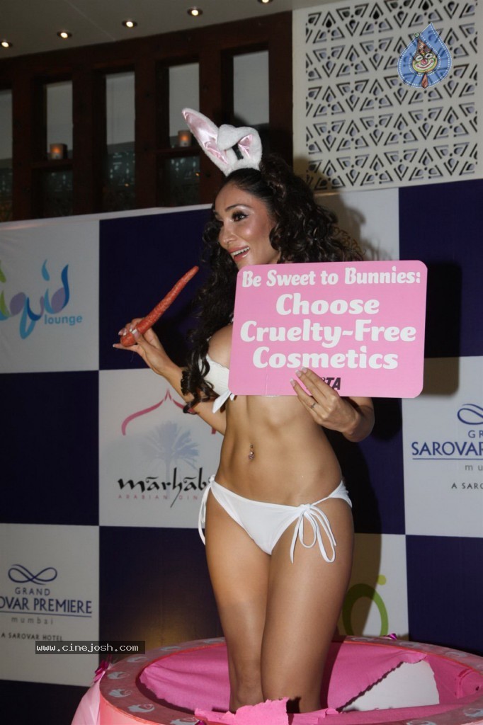 Sofia Hayat Special Photo Shoot - 25 / 59 photos