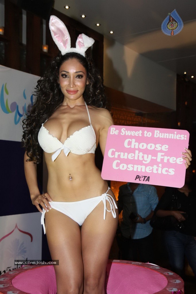 Sofia Hayat Special Photo Shoot - 28 / 59 photos