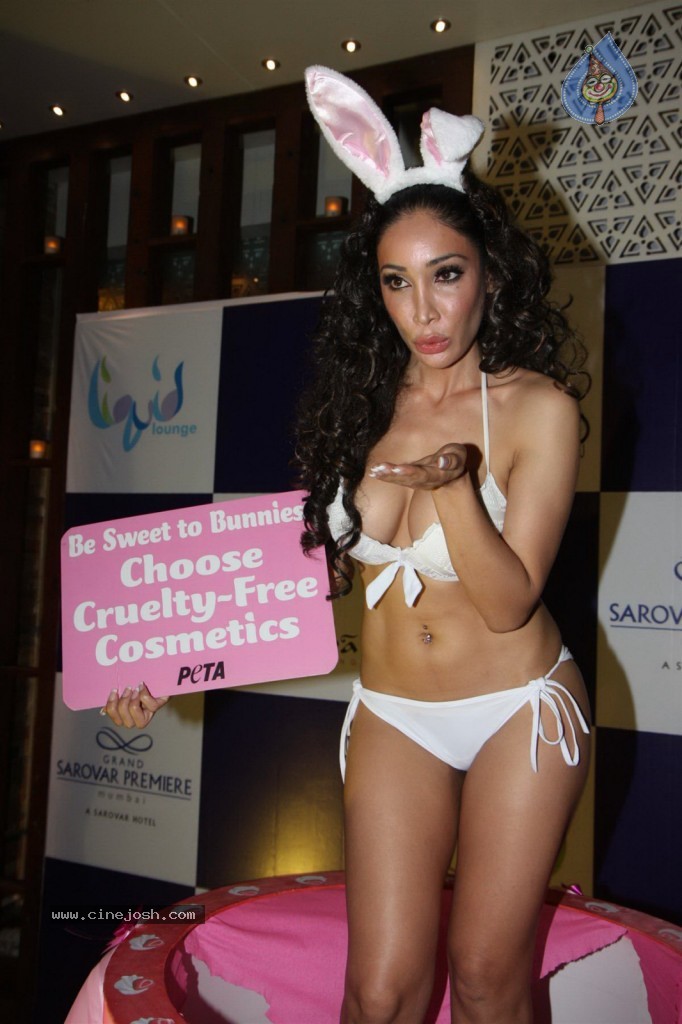 Sofia Hayat Special Photo Shoot - 34 / 59 photos