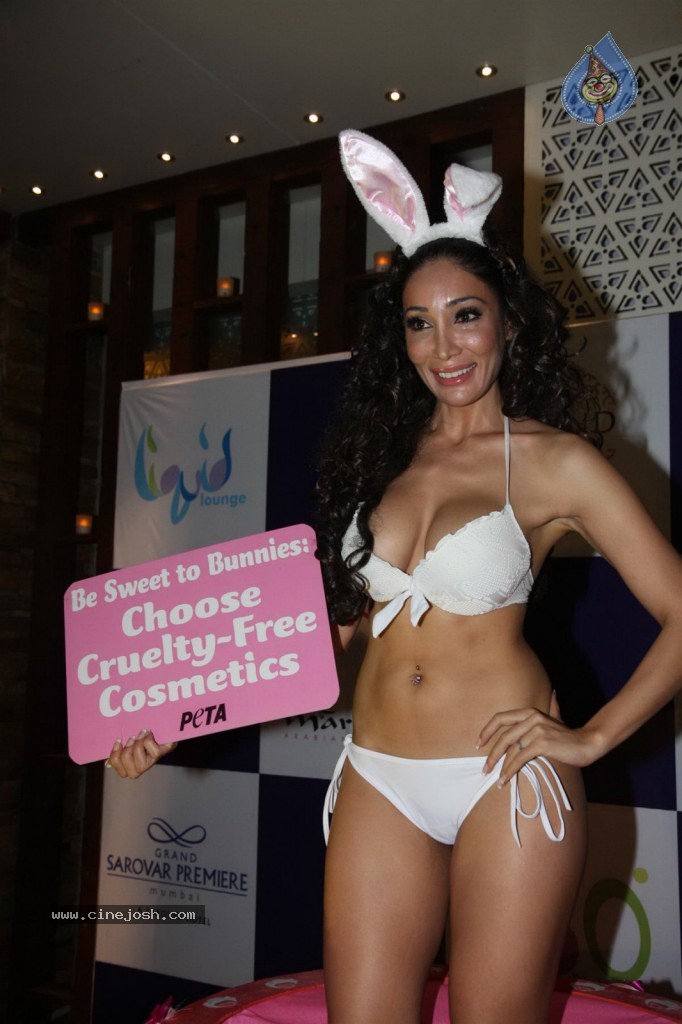 Sofia Hayat Special Photo Shoot - 42 / 59 photos