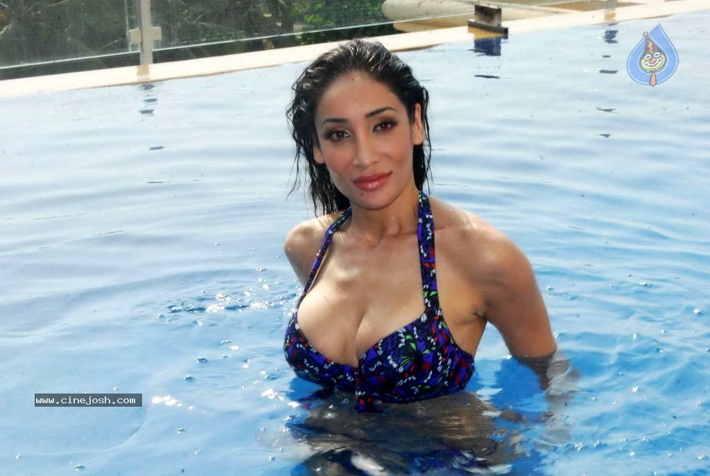 Sofia Hayat Spicy Photo Shoot - 27 / 27 photos