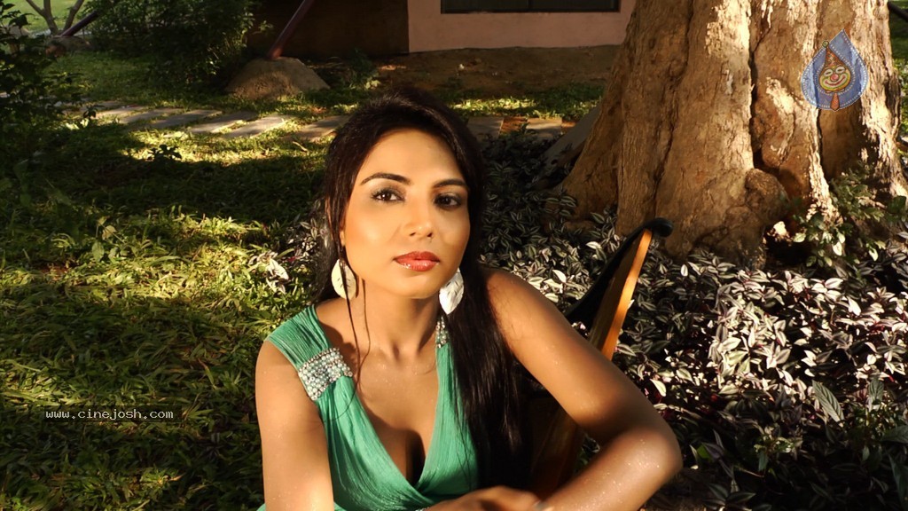 Srikar Movie Makers Movie Hot Stills - 2 / 38 photos