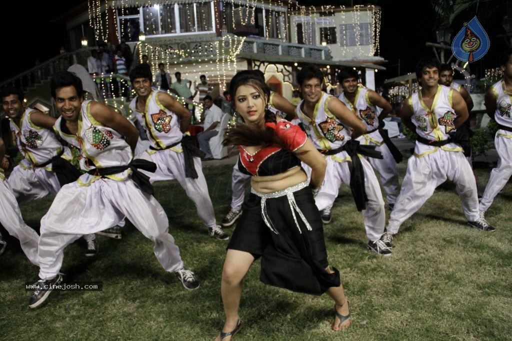 Swetha Basu Prasad Spicy Gallery - 26 / 132 photos