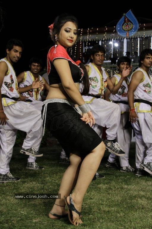 Swetha Basu Prasad Spicy Gallery - 84 / 132 photos