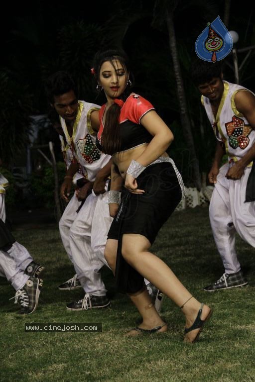 Swetha Basu Prasad Spicy Gallery - 95 / 132 photos