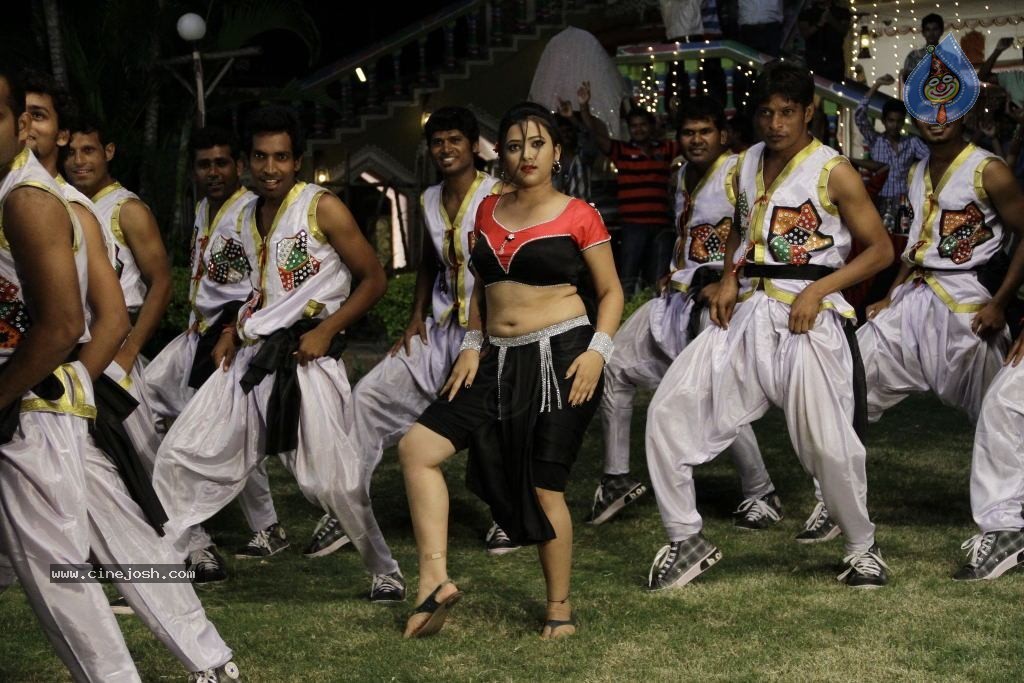 Swetha Basu Prasad Spicy Gallery - 100 / 132 photos