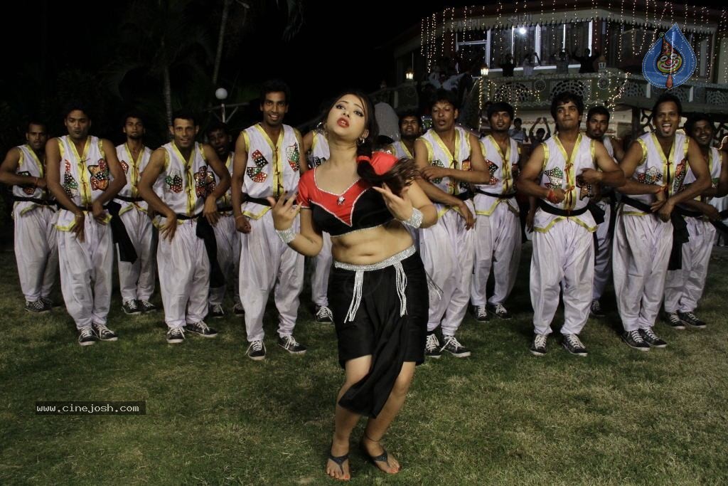 Swetha Basu Prasad Spicy Gallery - 118 / 132 photos