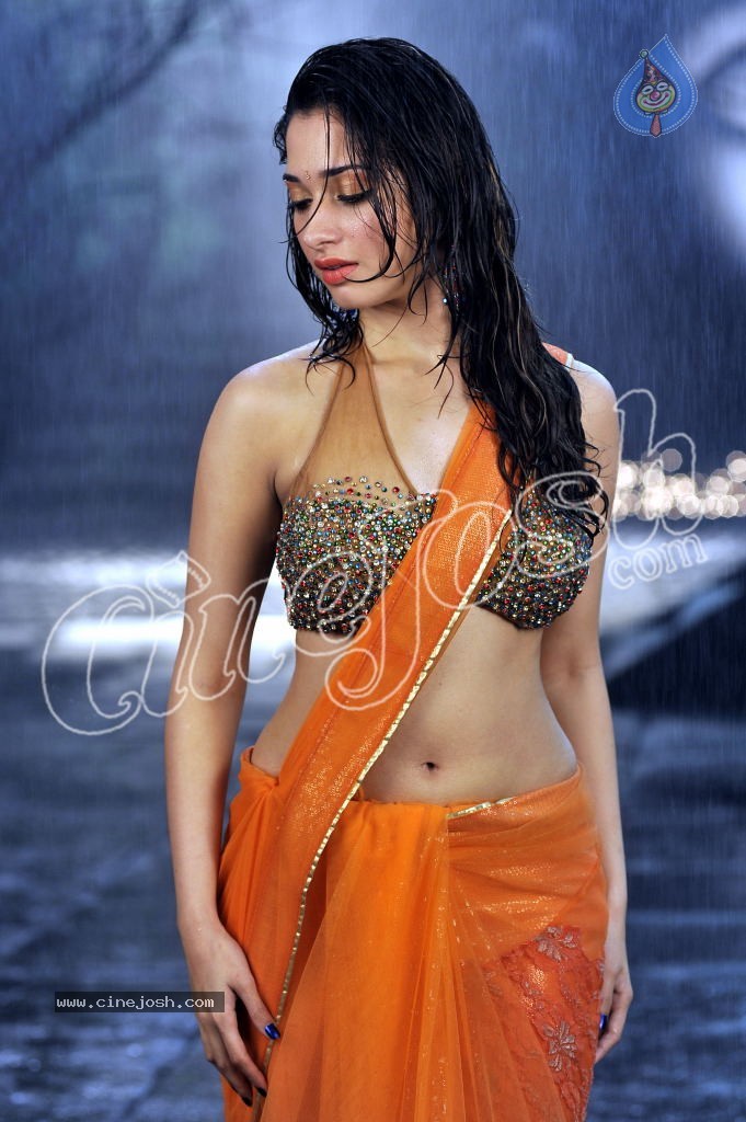 Tamanna Spicy Stills - 16 / 23 photos