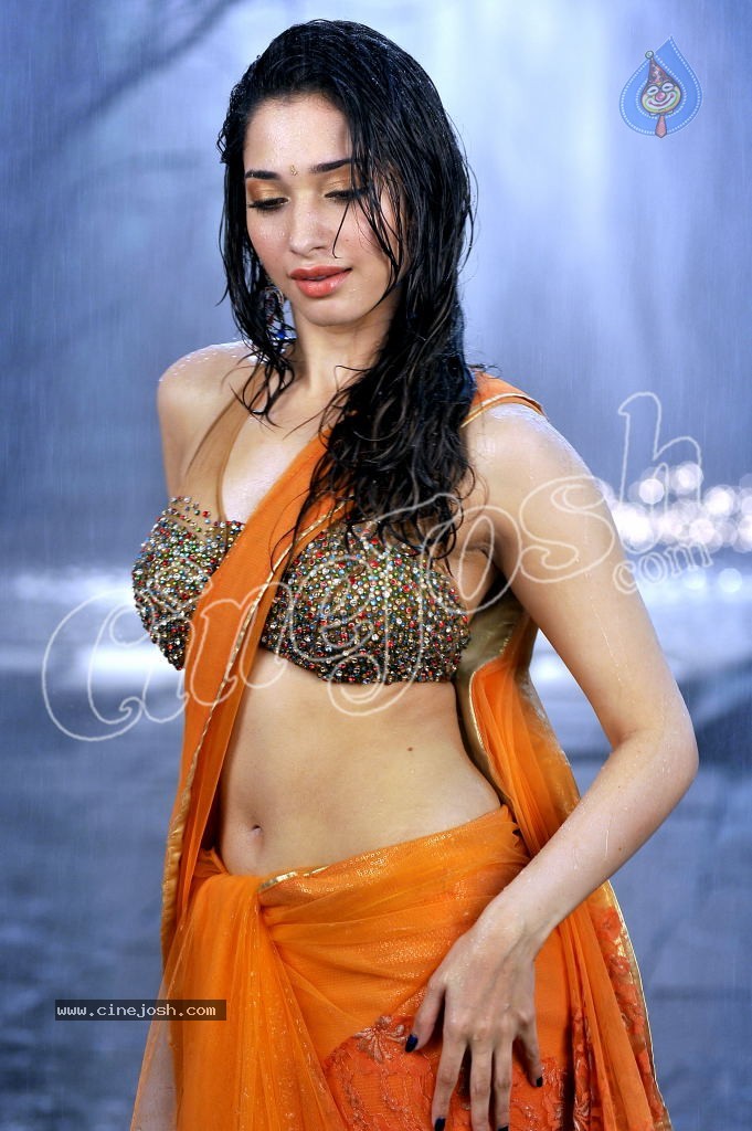 Tamanna Spicy Stills - 17 / 23 photos