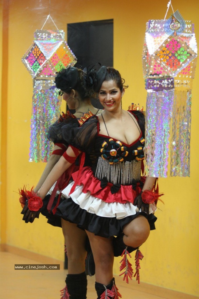 Tanisha Singh Special Diwali 2013 Photo Shoot - 2 / 30 photos