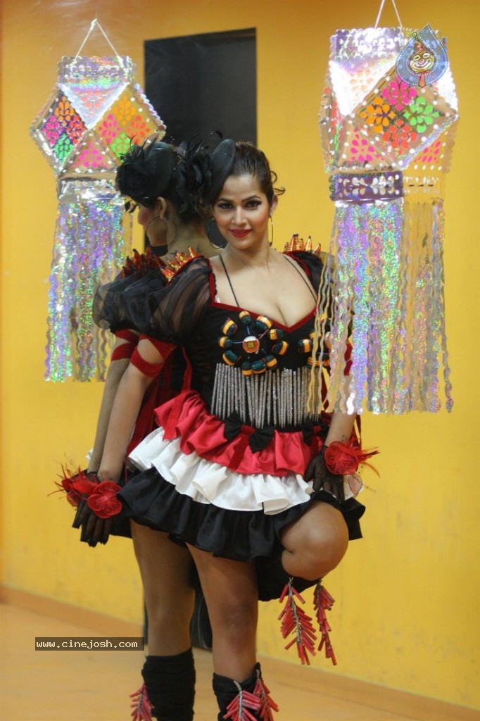 Tanisha Singh Special Diwali 2013 Photo Shoot - 10 / 30 photos