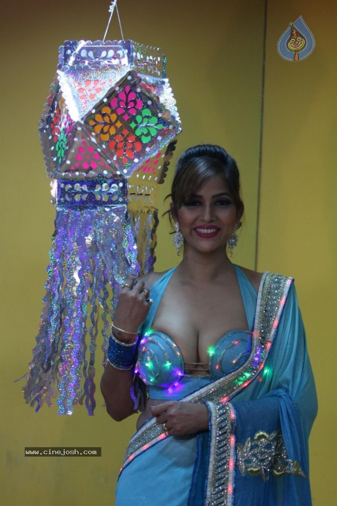 Tanisha Singh Special Diwali 2013 Photo Shoot - 13 / 30 photos