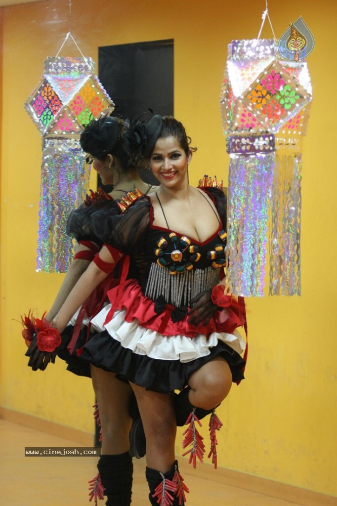 Tanisha Singh Special Diwali 2013 Photo Shoot - 17 / 30 photos
