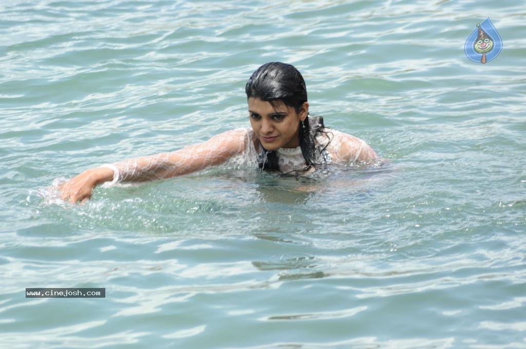 Tashu Kaushik Hot Gallery - 56 / 77 photos