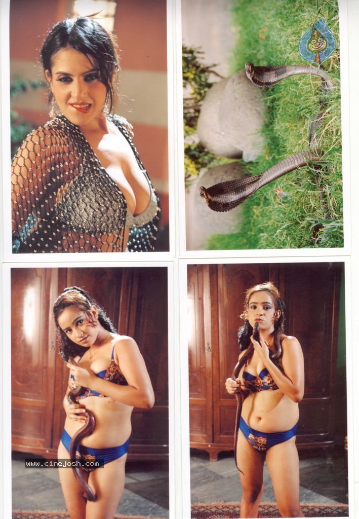 Visha Nagam Tamil Movie Hot Stills - 5 / 12 photos