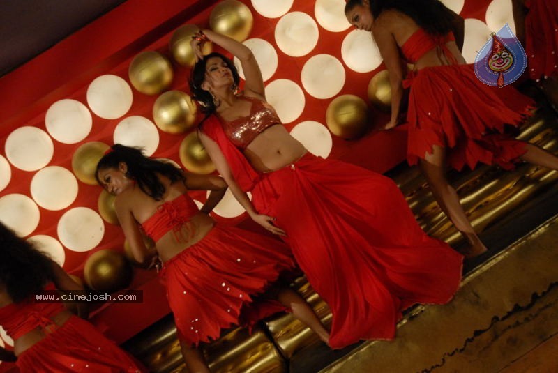 Zabyn Khan Spicy Stills - 239 / 330 photos