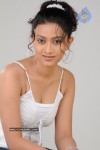 Aakarsha Spicy Stills - 2 of 58