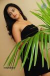 Aashika Hot Gallery - 31 of 68