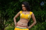 Actress Nisha Hot Stills - 3 of 86