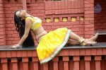 Actress Nisha Hot Stills - 28 of 86