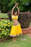 Actress Nisha Hot Stills - 38 of 86