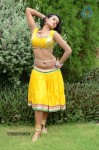 Actress Nisha Hot Stills - 43 of 86