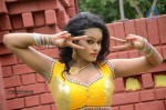 Actress Nisha Hot Stills - 49 of 86