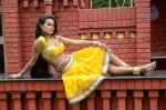 Actress Nisha Hot Stills - 73 of 86