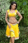 Actress Nisha Hot Stills - 76 of 86