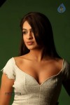 Aditi Agarwal Spicy Stills - 16 of 68
