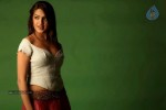 Aditi Agarwal Spicy Stills - 19 of 68