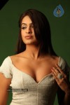 Aditi Agarwal Spicy Stills - 15 of 38