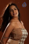 Aditi Agarwal Spicy Stills - 37 of 38