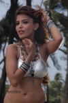 Adonica Spicy Stills - 2 of 144